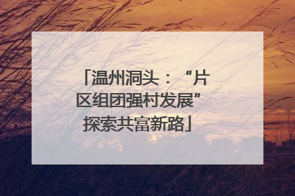 温州洞头：“片区组团强村发展”探索共富新路